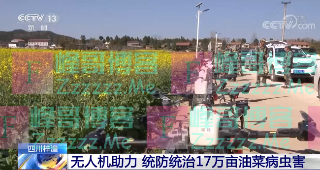 各地气温回升 各项农业生产正在进行