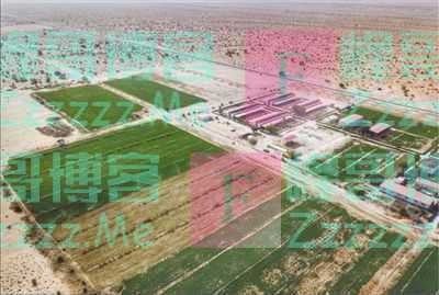 “在茫茫荒漠中创造了奇迹”