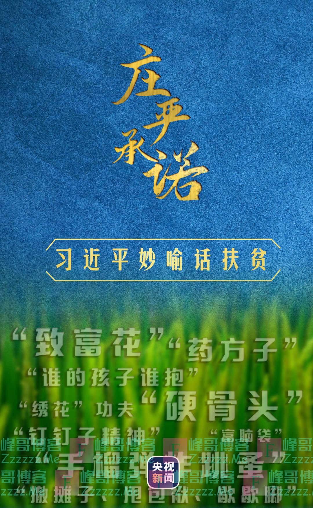 庄严承诺丨习近平妙喻话扶贫