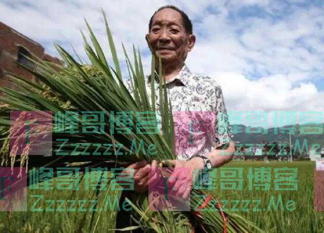 袁隆平“养活”14亿人口,对我国做出巨大贡献,为何没入选中科院