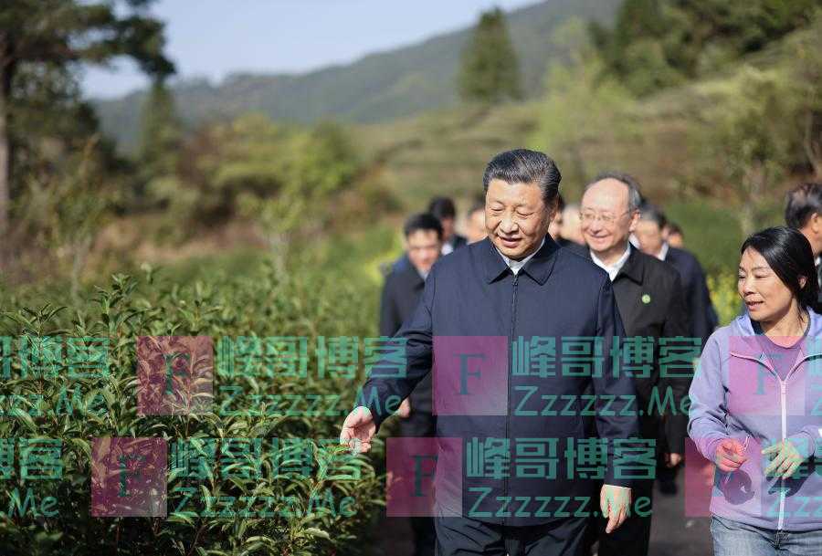 习近平福建行，第一站为何看山？