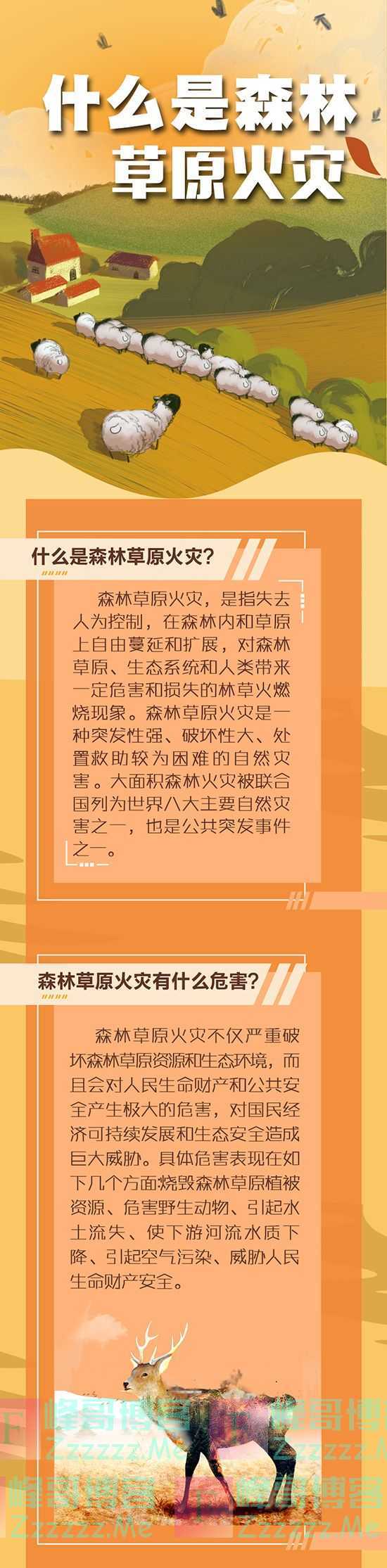 图解:什么是森林草原火灾?