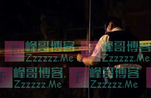 一天29条人命 美国“枪祸”还是“人过”？