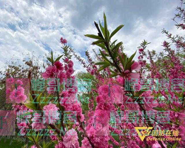 悦读|《春》:蓬蓬勃勃的春天更是心灵世界的写照