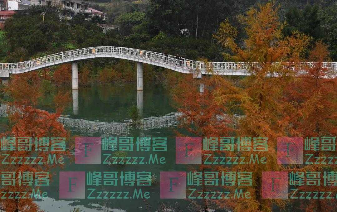 夜读丨明智的人,善于把握人生“四时”