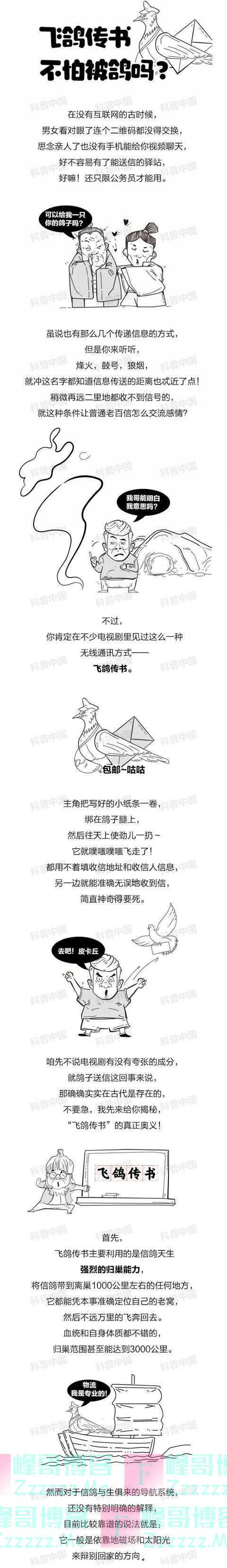 “飞鸽传书”是真的吗？半路贪吃忘了咋办？疑惑终于解开了
