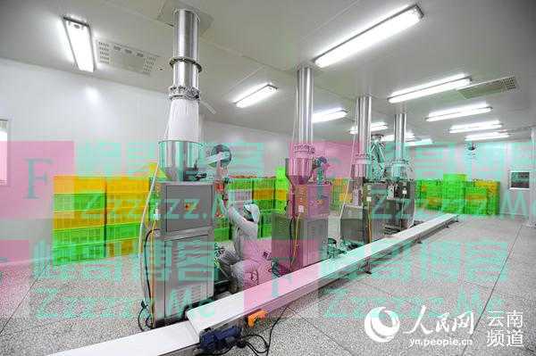 “好政策是我们增强科技创新的动力”