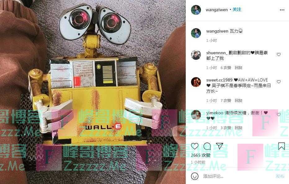王子文晒吴永恩送的瓦力 网友直呼狗粮太多甜度爆表