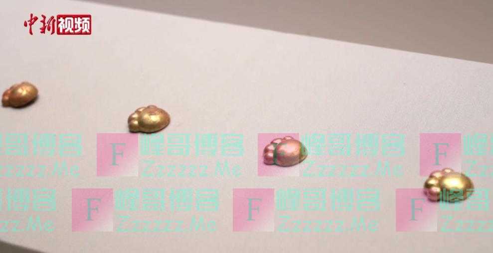 “最萌文物”出土！网友：一起喵喵喵喵喵