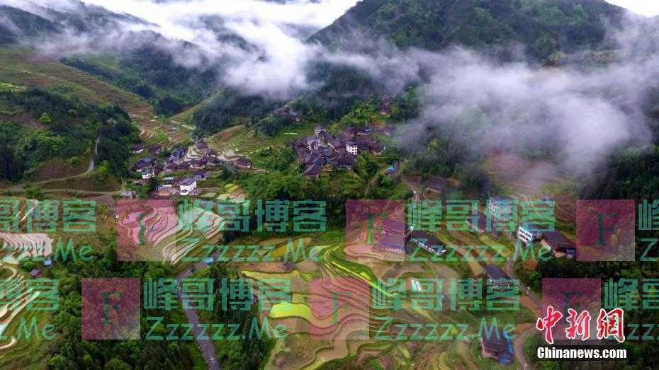 贵州从江：梯田美如画
