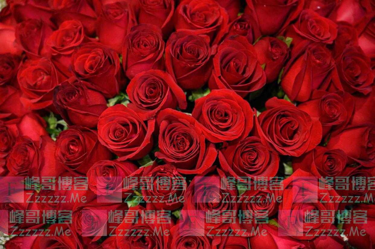 开花店的年轻人：浪漫生意与残酷战局