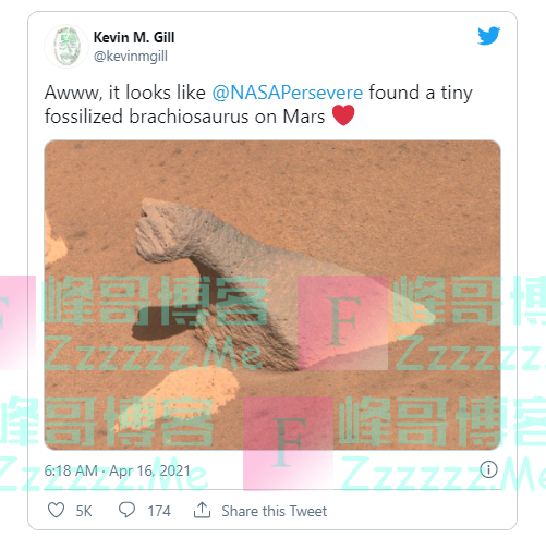 NASA毅力号火星车拍摄到“腕龙”形状的岩石