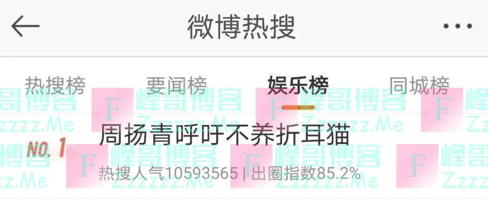 陪伴是最长情的告白