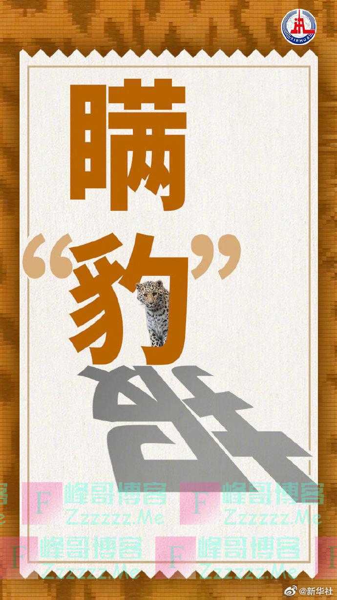 新华社:失踪一个月的杭州第三只豹子去哪了?