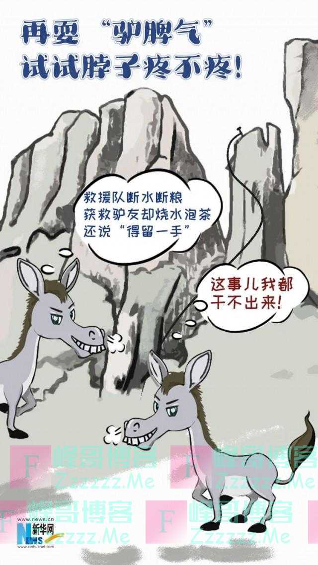 这样的“驴脾气”，一定要狠治！
