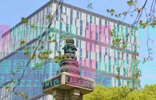 同济大学，为什么这么牛？！