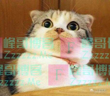 吃饭磕掉一颗牙，女子怒告饭店：糖醋排骨里怎么有骨头？