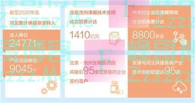 发挥比较优势 产业协同共赢