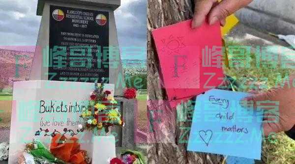 联合国直指加拿大!