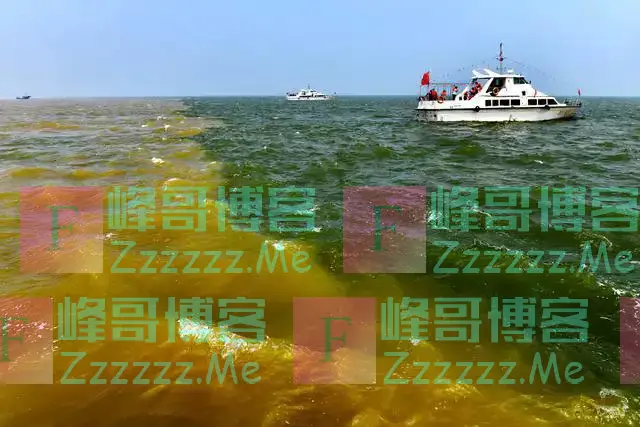 黄河三角洲生态“守卫”
