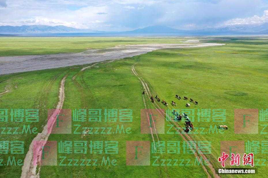 新疆博州：赛里木湖海西草原羊马成群