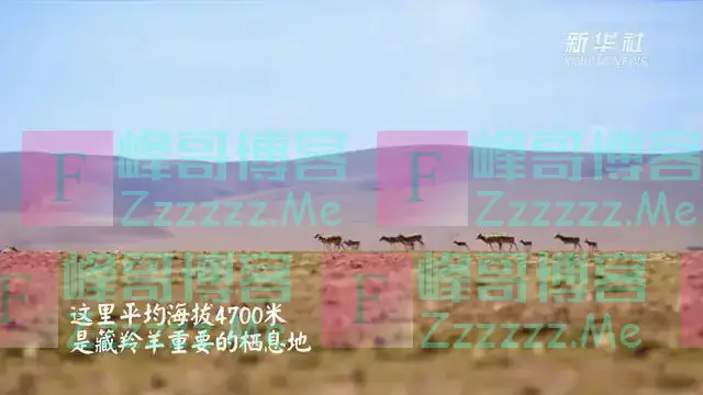 奋斗百年路 启航新征程·数风流人物