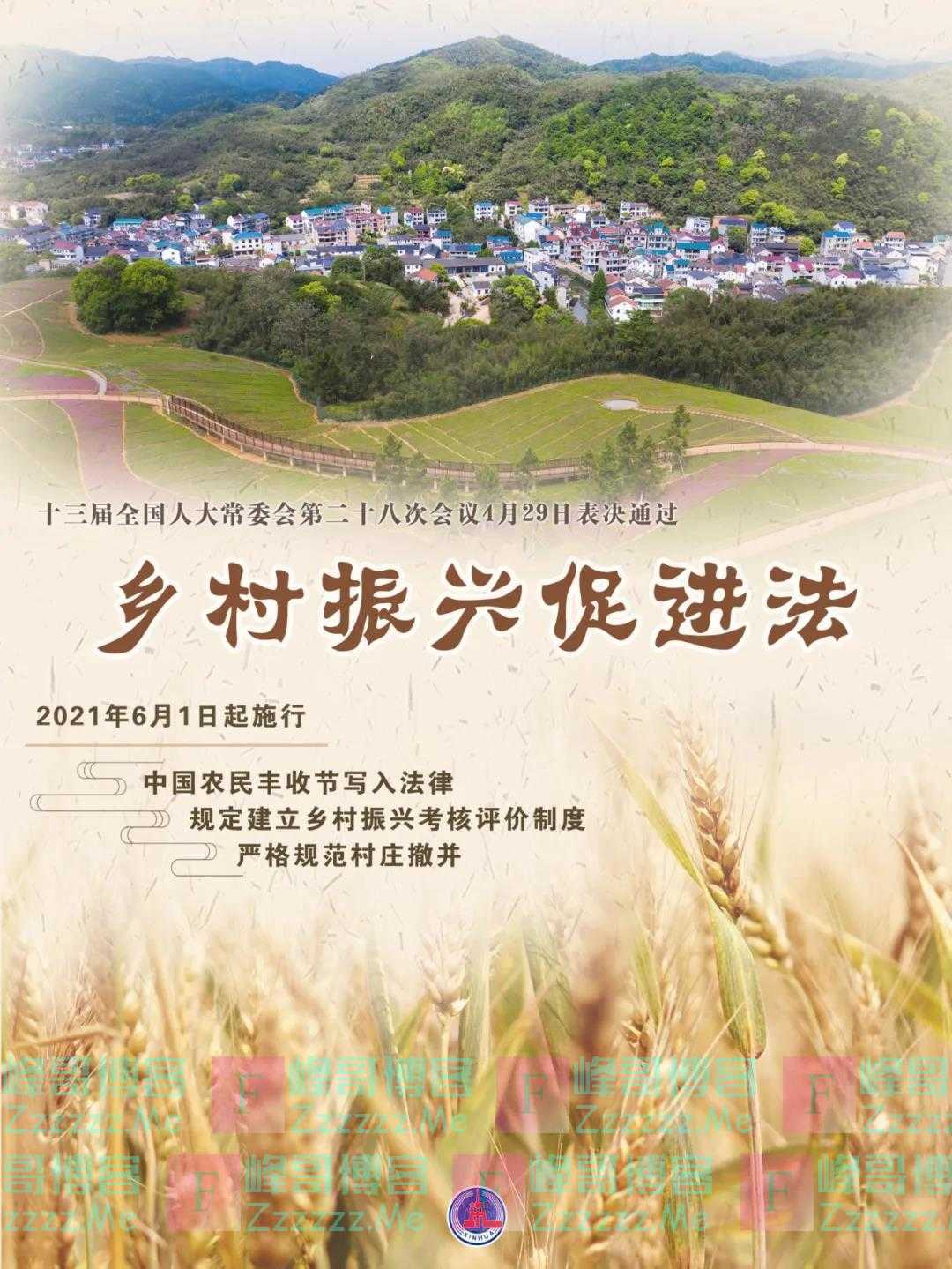 半月谈:乡村振兴立法,撤并村庄有规矩