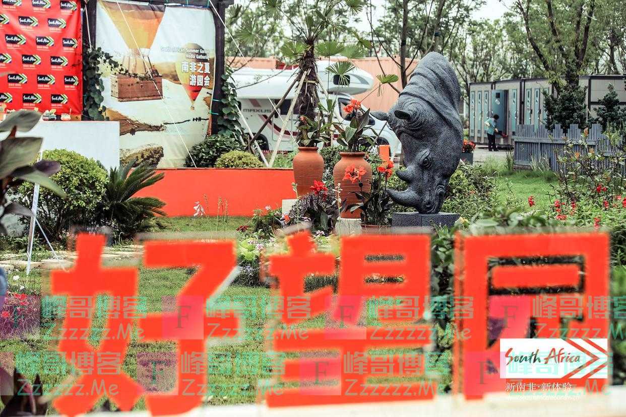 南非植物这么多，你认识几种？
