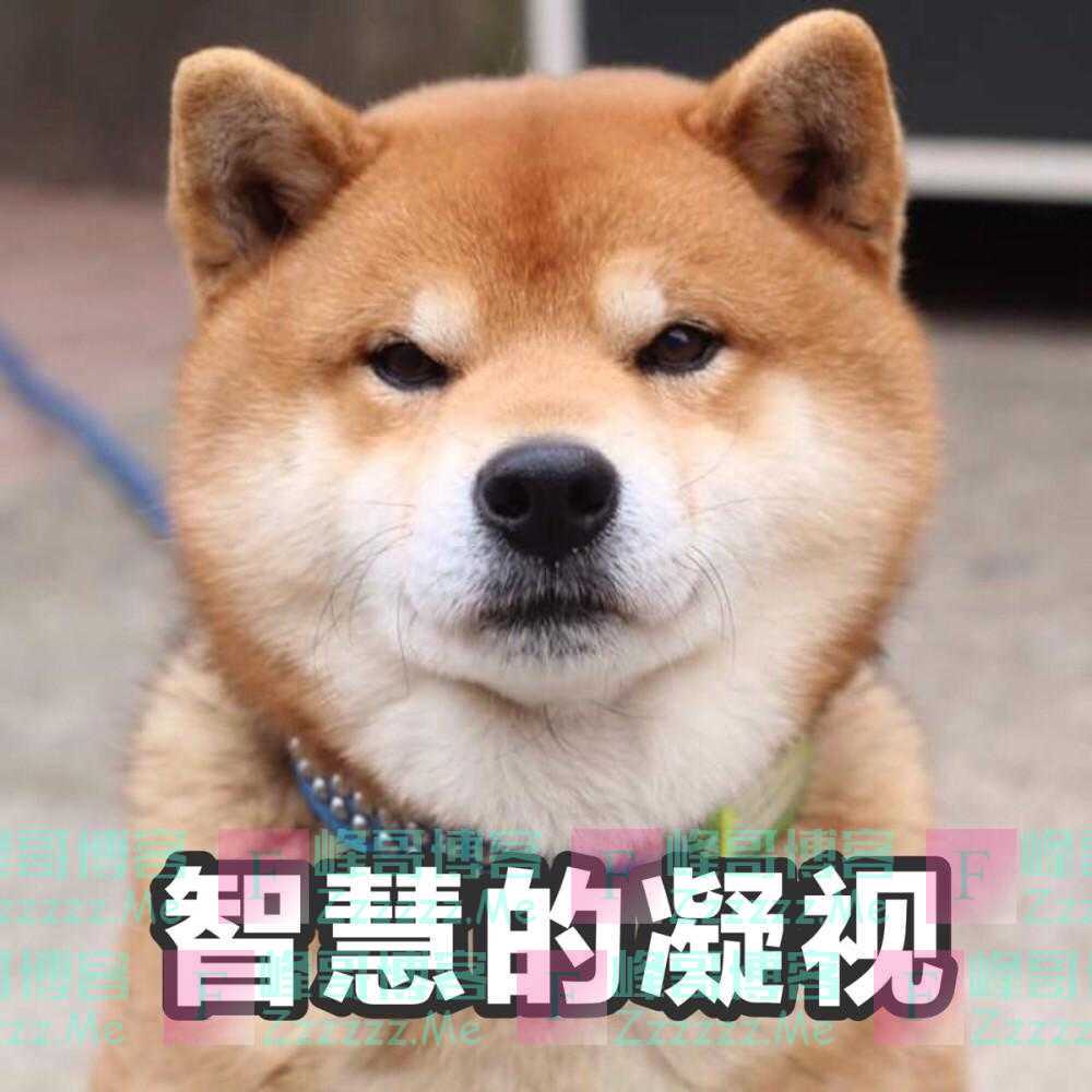 追光|模拟考成绩一般的“学霸” 其实都在攒着大招儿