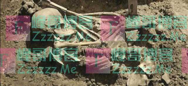 三千年前被鲨鱼咬伤800处的男人，被发现