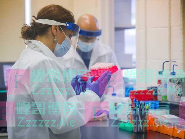 美澳研究团队：冠状病毒引发的人类疫情2万多年前就曾出现过