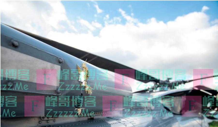 是谁把枪口对准了这位铁腕总统？｜新京报专栏