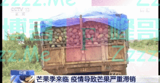 1公斤4毛3也不好卖 印度成堆芒果被倾倒在路边
