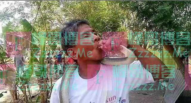 话不能说太满！菲律宾一专家自称对毒液免疫，试图亲吻蛇时被咬死