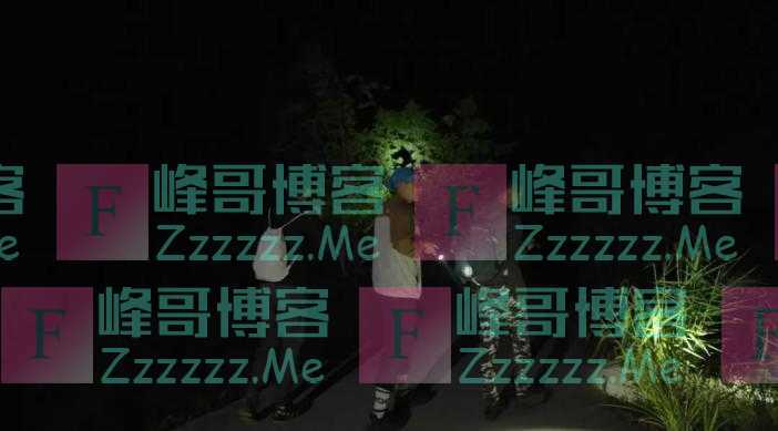 为把“热带雨林”带进课堂，学而思网校素养课制作团队这样做