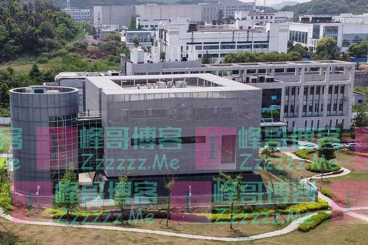 多国外长齐发声：拒绝新冠溯源政治化