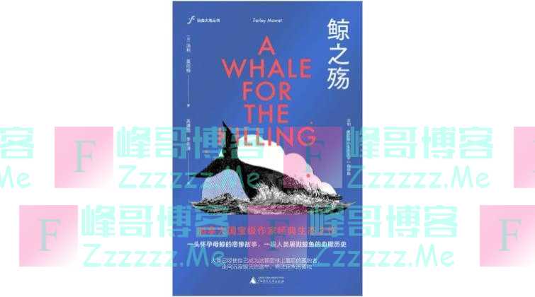 怀孕雌鲸之死：人类怎样对待动物，就是人与人之间的预设与参照