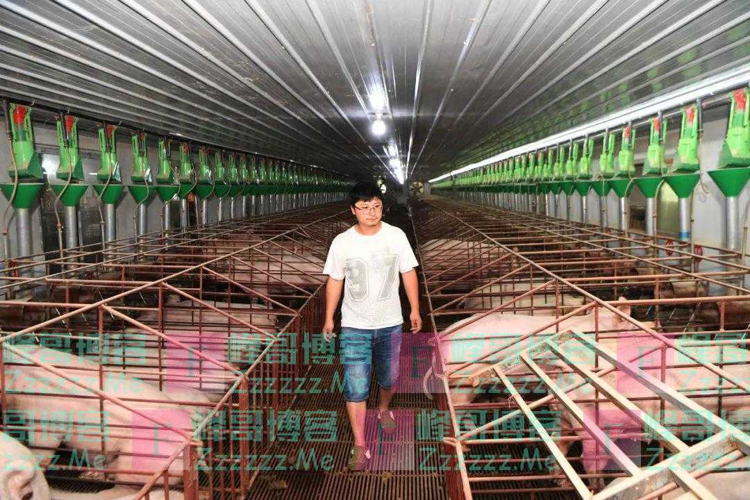 猪肉价格下跌，更要抓好稳价保供