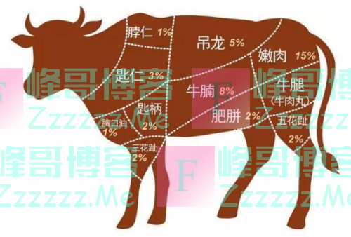 胖当家大块牛肉酱：极致的鲜味，让每一餐变得更享受