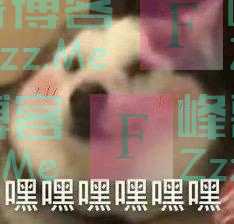 苏炳添要招研究生了!招生目录公布