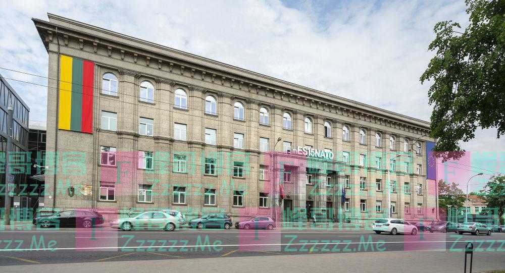 立陶宛外交部机密文件被盗，总统顾问：这么多巧合，不可能是偶然