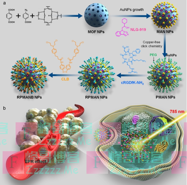 浙大二院研究新成果：光控靶向药物载体精准激活抗肿瘤免疫反应