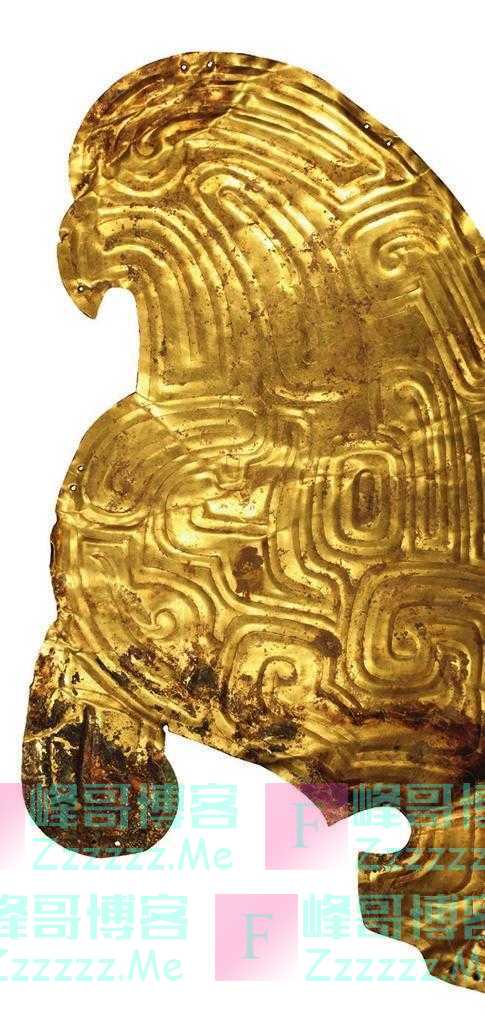 金灿灿的鸷鸟讲述着秦人的故事