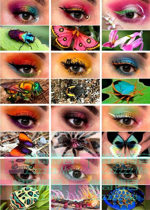 女子“昆虫”眼妆吸睛 展示昆虫之美
