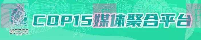 明确了！推迟！