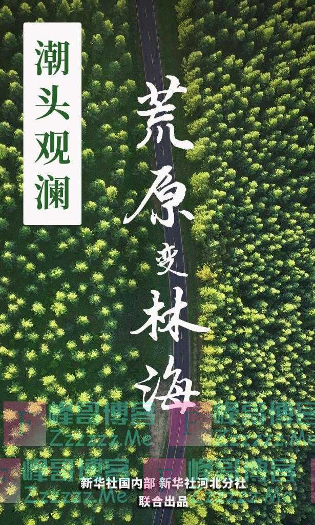 “荒原变林海”的人间奇迹