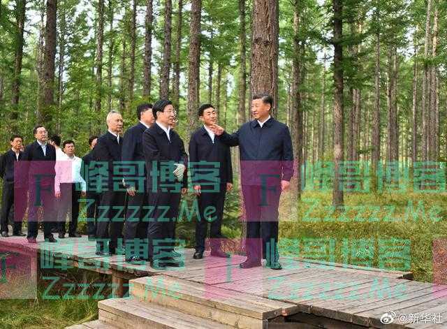 习近平考察的地方 背后有段感人故事