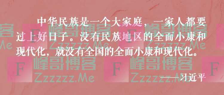总书记倾心浇灌民族团结进步之花