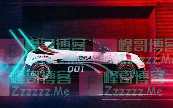 如虎一般的欧拉好猫会是什么样