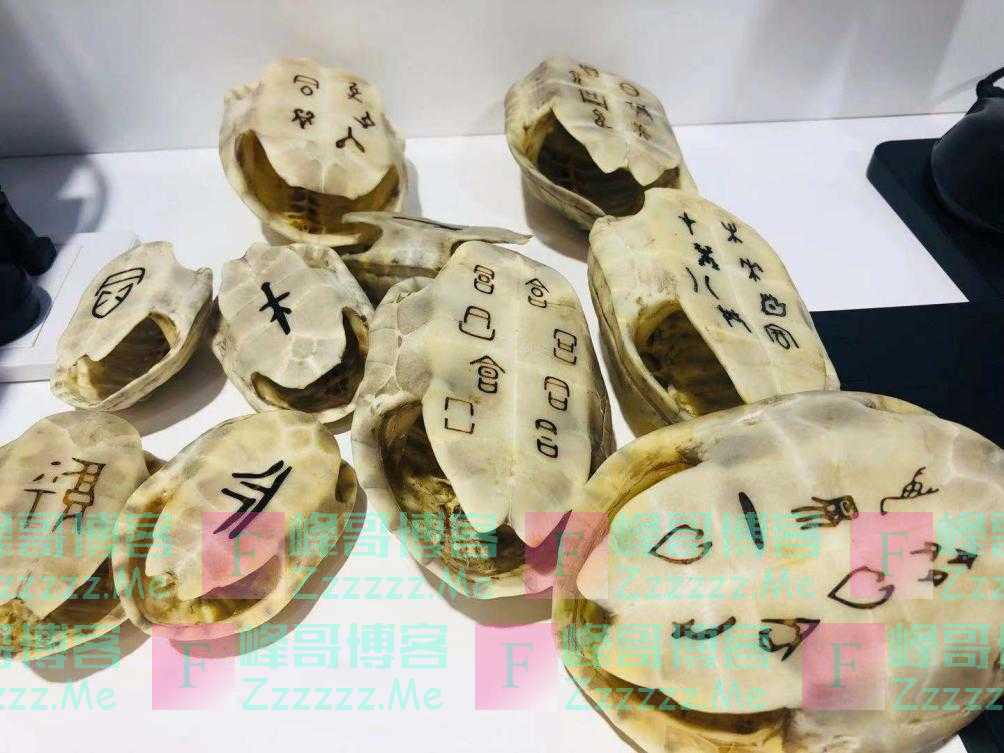 扫描全能王：合合信息携AI识别技术亮相世界人工智能大会